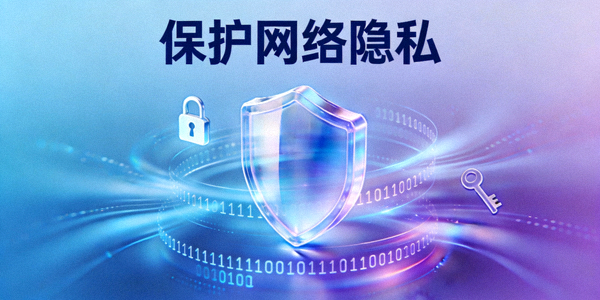 保护网络隐私概念图：抽象的数据盾牌与加密算法符号环绕